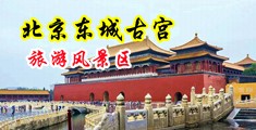 美女双飞美女跳蛋中国北京-东城古宫旅游风景区